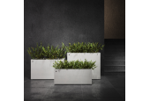 Cosapots Collection Semplito 60