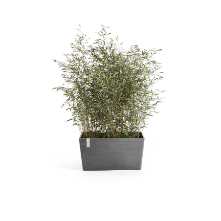 Ecopots Collection Paris 80 GREY