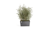 Ecopots Collection Paris 80