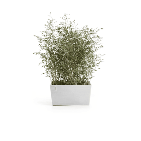 Ecopots Collection Paris 80 PURE WHITE
