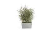 Ecopots Collection Paris 80