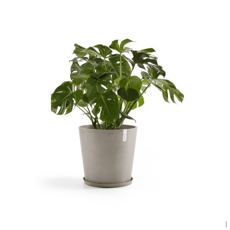 EcoPots Collection Amsterdam 50 TAUPE