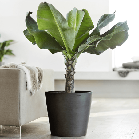 EcoPots Collection Amsterdam 50 DARK GREY