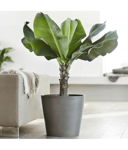 EcoPots Collection Amsterdam 50 GREY