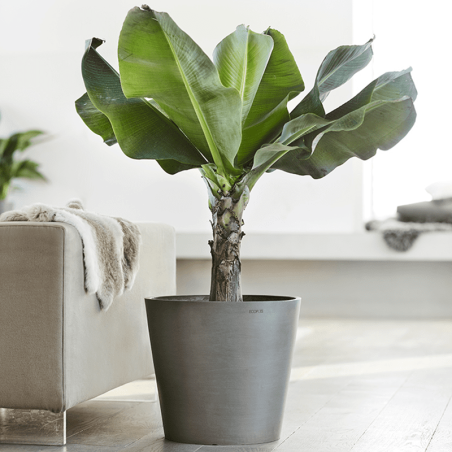 EcoPots Collection Amsterdam 50 GREY