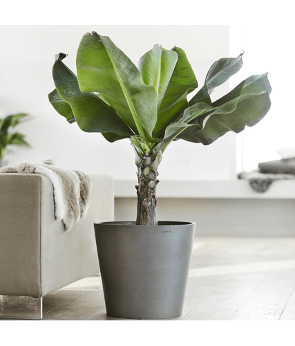 EcoPots Collection Amsterdam 60 GREY