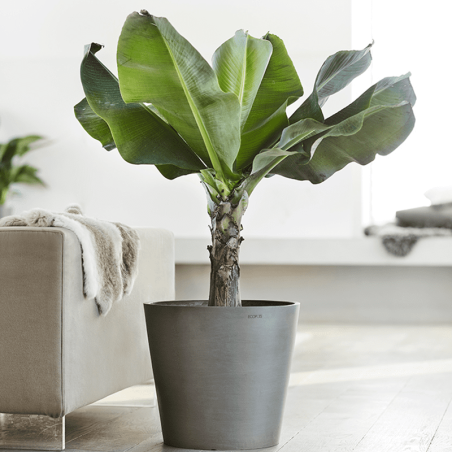 EcoPots Collection Amsterdam 60 GREY