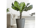EcoPots Collection Amsterdam 60
