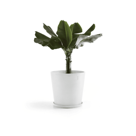 EcoPots Collection Amsterdam 60 PURE WHITE