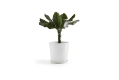 EcoPots Collection Amsterdam 60