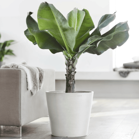 EcoPots Collection Amsterdam 60 PURE WHITE