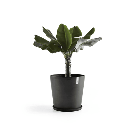 EcoPots Collection Amsterdam 60 DARK GREY