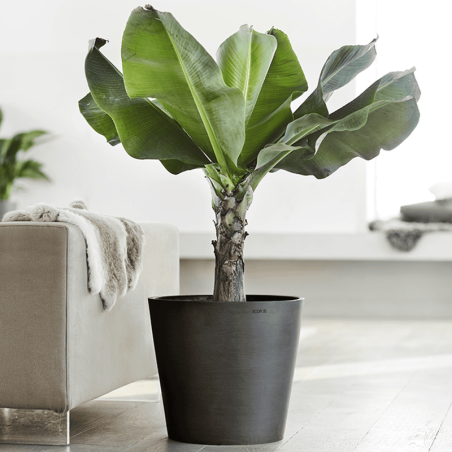 EcoPots Collection Amsterdam 60 DARK GREY