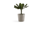 EcoPots Collection Amsterdam 60