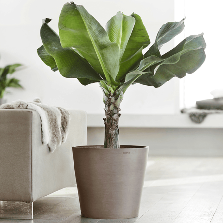 EcoPots Collection Amsterdam 60 TAUPE