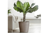 EcoPots Collection Amsterdam 60