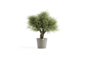 EcoPots Collection Amsterdam 70