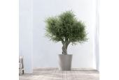 EcoPots Collection Amsterdam 70