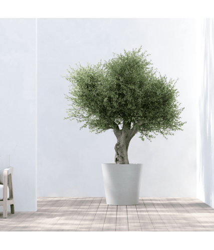 EcoPots Collection Amsterdam 70  WHITE GREY