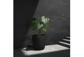 CosaPots Collection Juno ⌀70 CosaPots Collection Juno ⌀70