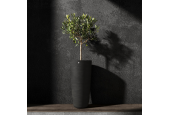 Cosapots Collection Lofto ⌀42 Cosapots Collection Lofto ⌀42