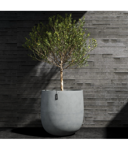 Cosapots Collection Mondo ⌀100
