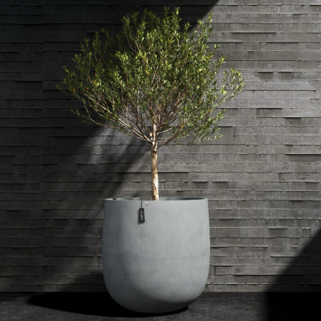Cosapots Collection Mondo ⌀100