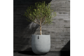 Cosapots Collection Mondo ⌀100 Cosapots Collection Mondo ⌀100