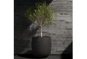 Cosapots Collection Mondo ⌀100 Cosapots Collection Mondo ⌀100