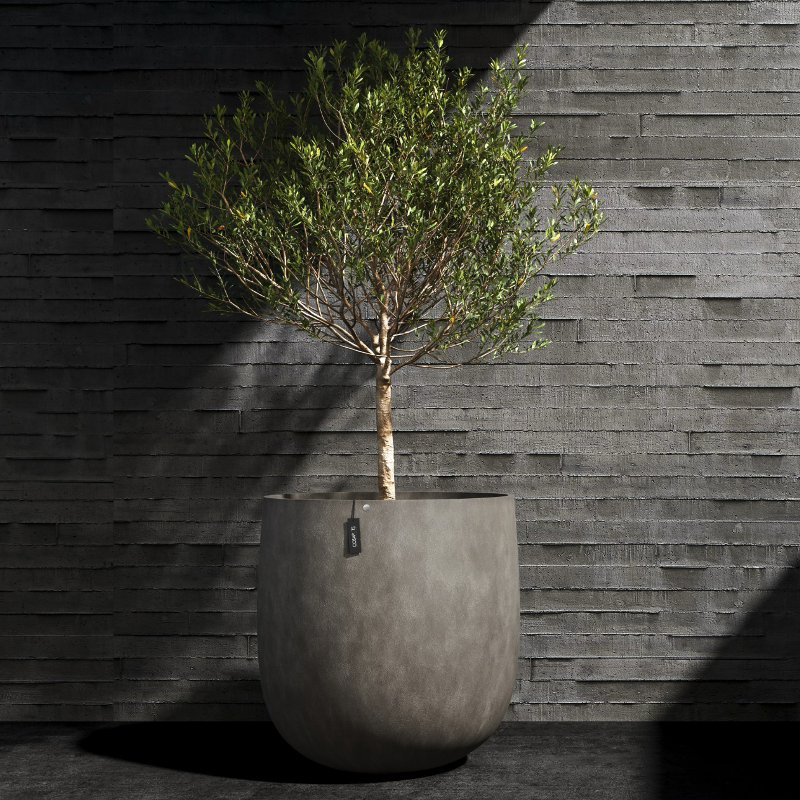 Cosapots Collection Mondo ⌀100 Cosapots Collection Mondo ⌀100