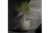Cosapots Collection Mondo ⌀100 Cosapots Collection Mondo ⌀100