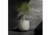 Cosapots Collection Mondo ⌀100 Cosapots Collection Mondo ⌀100