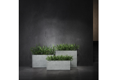 Cosapots Collection Semplito 40